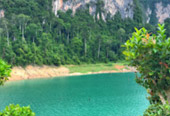 The Forest Breath: ประสบการณ์ สัมผัสป่า