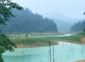 The Forest Breath: ประสบการณ์ สัมผัสป่า