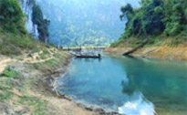 The Forest Breath: ประสบการณ์ สัมผัสป่า
