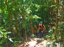 The Forest Breath: ประสบการณ์ สัมผัสป่า