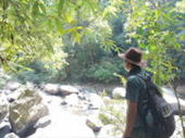 The Forest Breath: ประสบการณ์ สัมผัสป่า
