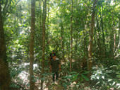 The Forest Breath: ประสบการณ์ สัมผัสป่า