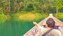 The Forest Breath: ประสบการณ์ สัมผัสป่า