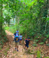 The Forest Breath: ประสบการณ์ สัมผัสป่า