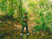 The Forest Breath: ประสบการณ์ สัมผัสป่า
