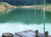 The Forest Breath: ประสบการณ์ สัมผัสป่า