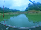 The Forest Breath: ประสบการณ์ สัมผัสป่า