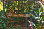 The Forest Breath: ประสบการณ์ สัมผัสป่า