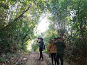 The Forest Breath: ประสบการณ์ สัมผัสป่า