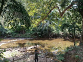 The Forest Breath: ประสบการณ์ สัมผัสป่า