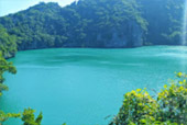 Incredible: สุราษฏร์ธานี 5 วัน 4 คืน