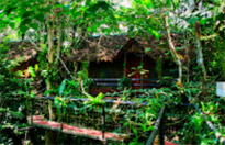 Incredible: สุราษฏร์ธานี 5 วัน 4 คืน