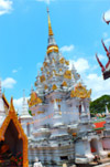 4 วัน 3 คืน เขาสก เขื่อน ป่า ธรรมชาติ สุราษฏร์ธานี
