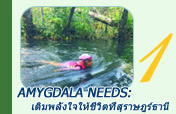 Amygdala Needs: เขาสก 3 วัน 2 คืน กลางธรรมชาติ พื้นที่ชนบท