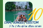 Dam, Jungle, Custom 3 วัน 2 คืน สุราษ เขื่อน เขาสก