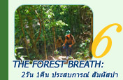 The Forest Breath: ประสบการณ์ สัมผัสป่า
