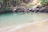 4 วัน 3 คืน เกาะลันตา เกาะรอก เกาะกระดาน