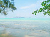 เช่าเหมาลำเรือ ถ้ำมรกต เกาะกระดาน เกาะเชือก และเกาะไหง