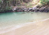 เช่าเหมาลำเรือ ถ้ำมรกต เกาะกระดาน เกาะเชือก และเกาะไหง