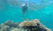 เช่าเหมาลำเรือ เกาะห้า