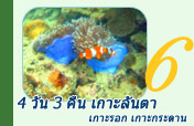 4 วัน 3 คืน เกาะลันตา เกาะรอก เกาะกระดาน