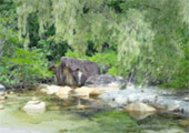 Lipe Concerns: สวยสุดที่น้ำตื้น เกาะหลีเป๊ะ
