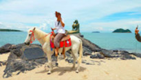 Radiate 4 คืน 5 วัน :หาดใหญ่ เบตง หลีเป๊ะ