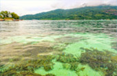 Historical Archipelago: ดึกดำบรรพ์ - สร้างสรรค์ 4 วัน 3 คืน ตะรุเตา อาดัง ราวี 