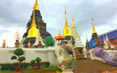 Cold Land ปาย + อ่างขาง..เสียงเพรียก จากความหนาวเหน็บ