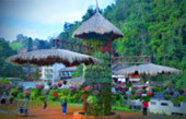 Cold Land ปาย + อ่างขาง..เสียงเพรียก จากความหนาวเหน็บ