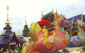Cold Land ปาย + อ่างขาง..เสียงเพรียก จากความหนาวเหน็บ