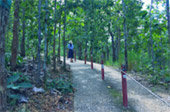 Cold Land ปาย + อ่างขาง..เสียงเพรียก จากความหนาวเหน็บ