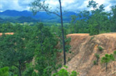 Cold Land ปาย + อ่างขาง..เสียงเพรียก จากความหนาวเหน็บ