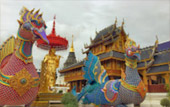 Cold Land ปาย + อ่างขาง..เสียงเพรียก จากความหนาวเหน็บ