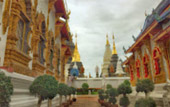 Cold Land ปาย + อ่างขาง..เสียงเพรียก จากความหนาวเหน็บ