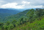 Cold Land ปาย + อ่างขาง..เสียงเพรียก จากความหนาวเหน็บ