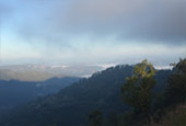 Cold Land ปาย + อ่างขาง..เสียงเพรียก จากความหนาวเหน็บ