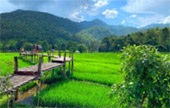 Pai, Best First เชียงใหม่ ปาย 4 วัน 3 คืน
