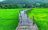 Pai, Best First เชียงใหม่ ปาย 4 วัน 3 คืน