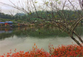 บ้านรักไทย: Fog Village 3 วัน 2 คืน
