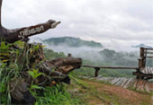 บ้านรักไทย: Fog Village 3 วัน 2 คืน