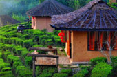บ้านรักไทย: Fog Village 3 วัน 2 คืน