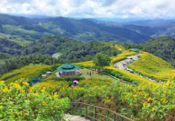 Flowers on Hight 1600