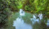 Kimberlite Line: แม่ฮ่องสอน 4 วัน