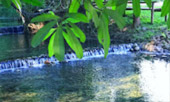 Kimberlite Line: แม่ฮ่องสอน 4 วัน