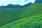 Kimberlite Line: แม่ฮ่องสอน 4 วัน