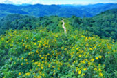Kimberlite Line: แม่ฮ่องสอน 4 วัน