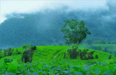 Kimberlite Line: แม่ฮ่องสอน 4 วัน