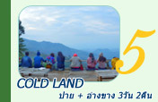 Cold Land ปาย + อ่างขาง..เสียงเพรียก จากความหนาวเหน็บ
