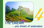 The dream you dream of แม่ฮ่องสอน 3 วัน 2 คืน
